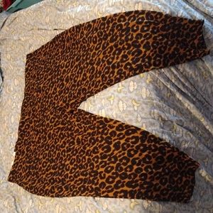 NWT-Terra & Sky high rise fitted leggings size 5x